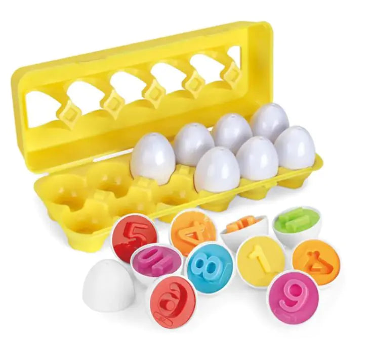 Smart Matching Egg Box.