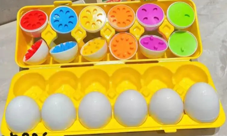 Smart Matching Egg Box.