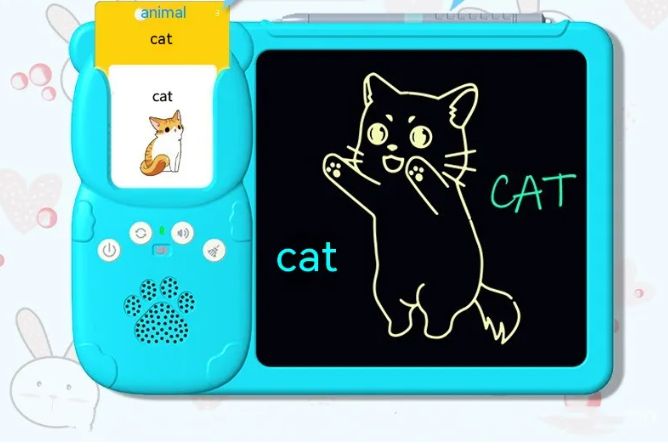 Talking Flash Cards LCD Writing Board.